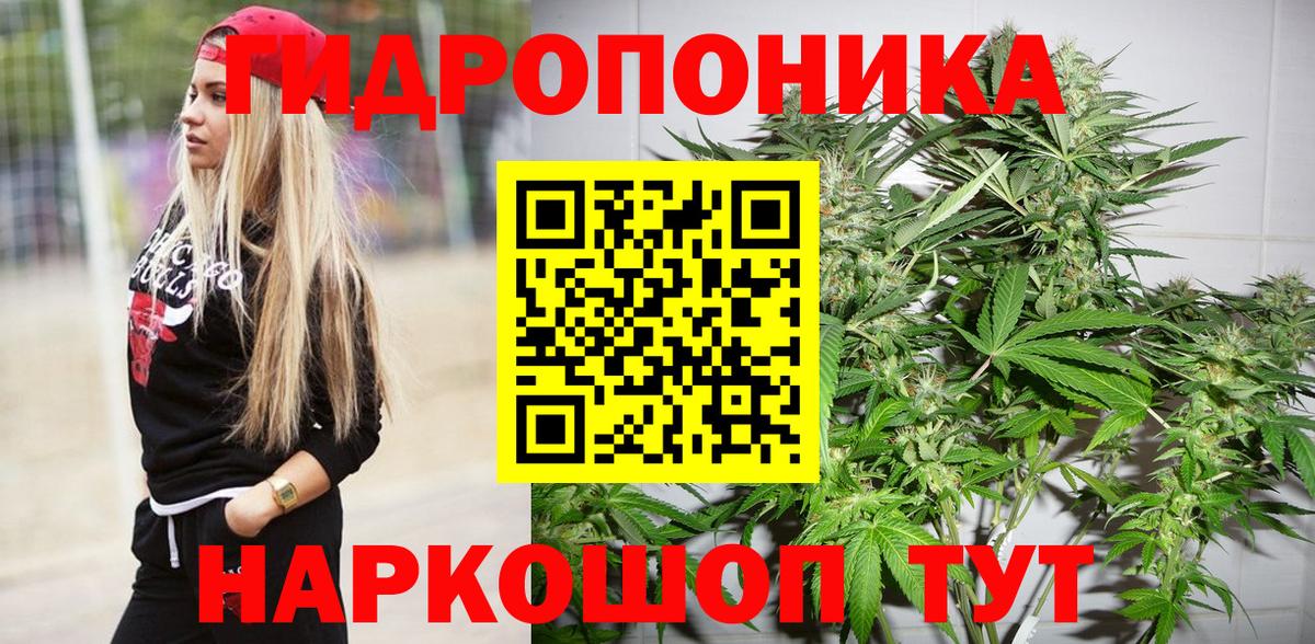 Бошки марихуана конопля  МАРИХУАНА планчик  Каннабис ГИДРОПОН  Краснокаменск  Канабис ГИДРОПОН  Вход с VPN 